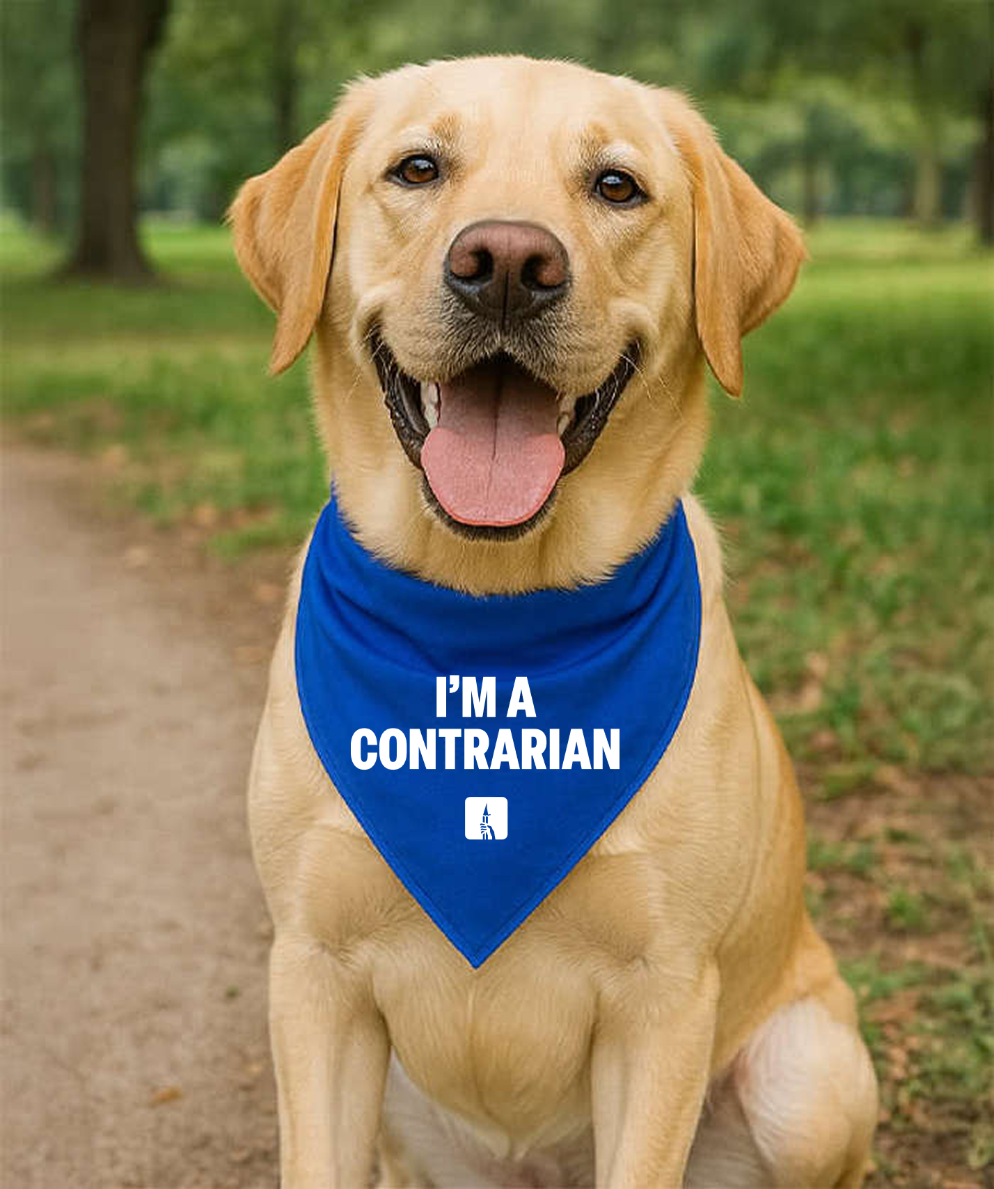 Pet Bandana - Preorder